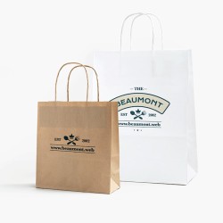 Standard Kraft Paper Bags