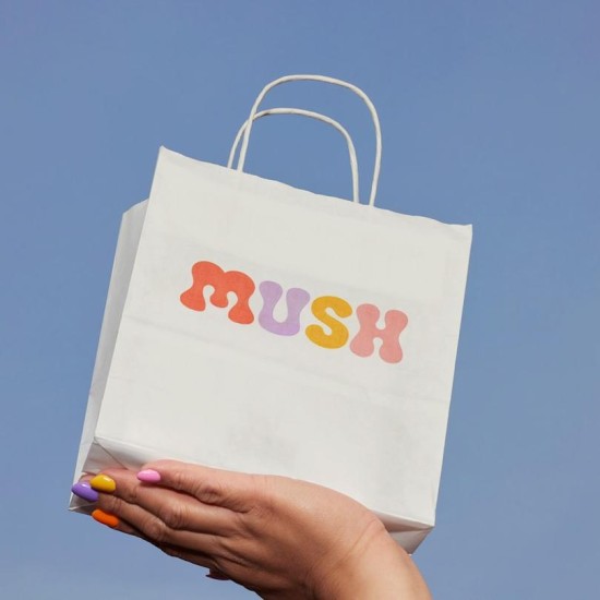 Standard Kraft Paper Bags