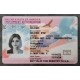 Employment Authorization Card