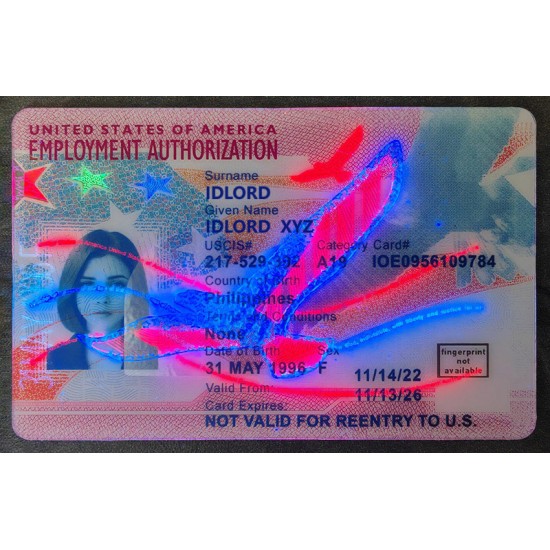 Employment Authorization Card