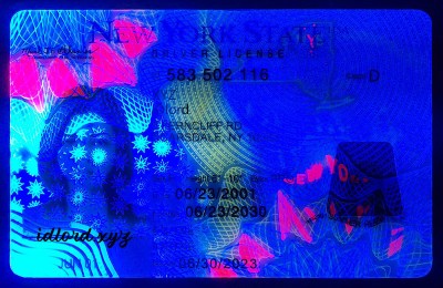 New York Fake Dirvers Licence