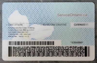 Ontario Fake Dirvers Licence