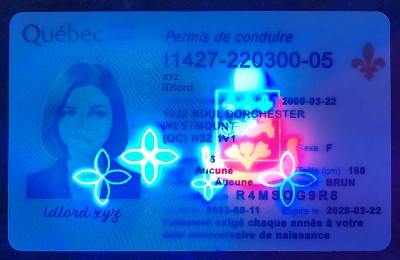 Quebec Fake Dirvers Licence